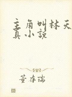 主角叫林天的修真小说