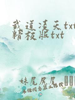 武道凌天txt精校版txt