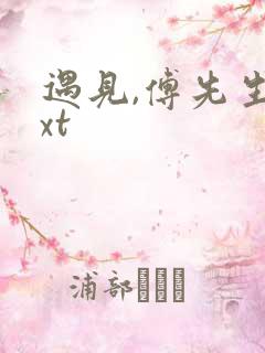 遇见,傅先生txt
