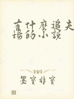 有什么追夫火葬场的小说