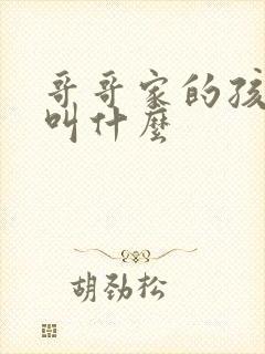 哥哥家的孩子我叫什么