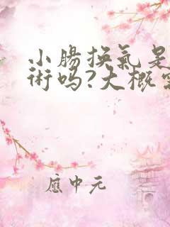 小肠换气是大手术吗?大概需要多少钱