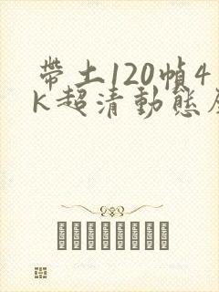带土120帧4k超清动态壁纸