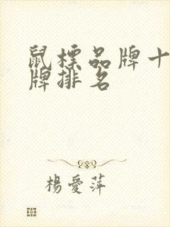 鼠标品牌十大名牌排名