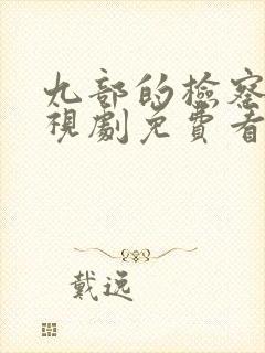 九部的检察官电视剧免费看全集