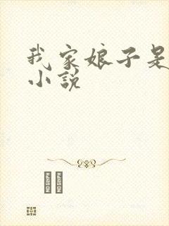 我家娘子是剑神小说