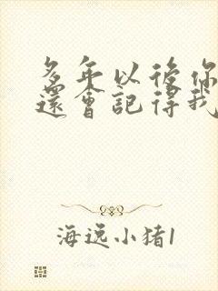 多年以后你是否还会记得我是什么歌