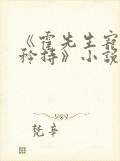 《霍先生宠妻请矜持》小说