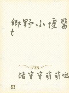 乡野小傻医txt