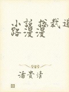 小说 总裁追妻路漫漫