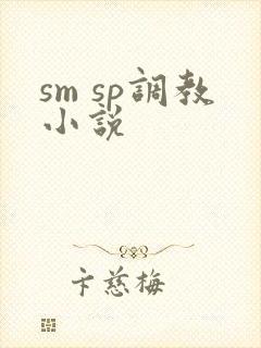sm sp调教小说