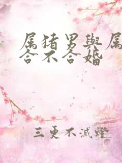 属猪男与属龙女合不合婚