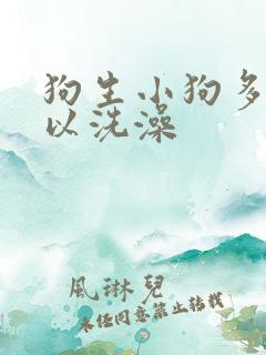狗生小狗多久可以洗澡