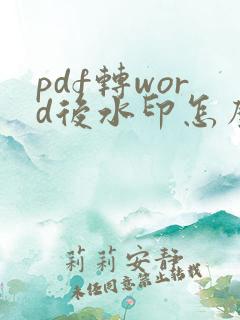 pdf转word后水印怎么去掉