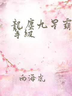 龙尘九星霸体诀等级