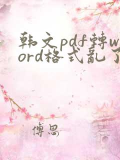 韩文pdf转word格式乱了怎么调整