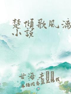 楚倾歌风漓夜的小说