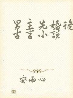 男主先婚后爱的古言小说