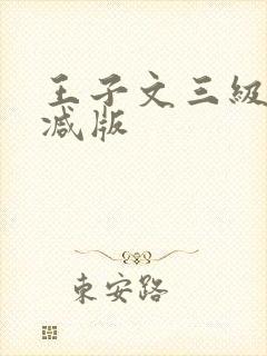 王子文三级无删减版