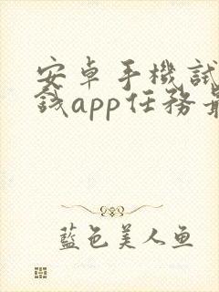 安卓手机试玩赚钱app任务最多的