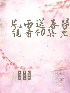 风雨送春归在线观看40集免费