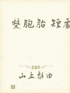 双胞胎 短剧