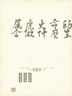 属虎火命的人适合做什么生意