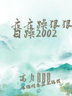 夜夜躁狠狠躁日日躁2002
