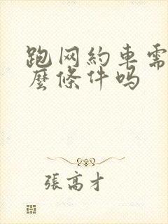 跑网约车需要什么条件吗