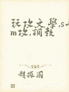玩攻文学,s受m攻,调教