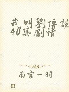 我叫刘传说1—40集剧情