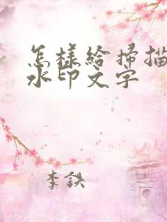 怎样给扫描件加水印文字