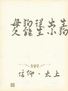 母狗从出生长多久能生小狗