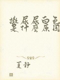 撒尿尿白色液体是什么原因