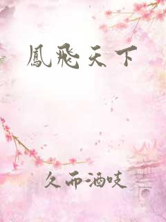 凤飞天下