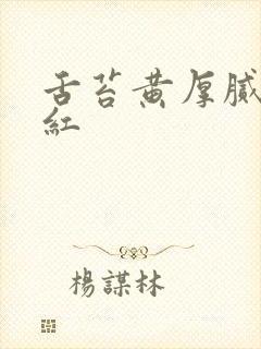 舌苔黄厚腻舌尖红