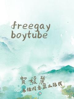 freegayboytube