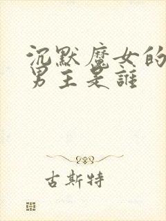 沉默魔女的秘密男主是谁