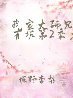 我家大师兄脑子有坑第2季免费观看