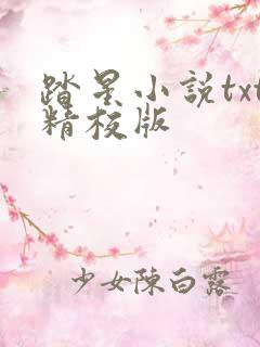 踏星小说txt精校版