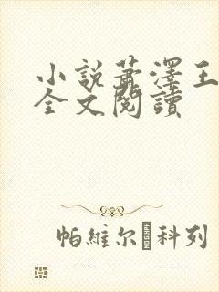 小说萧泽王雪凤全文阅读