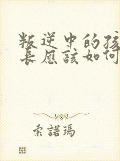 叛逆中的孩子家长应该如何对待