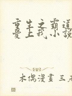 重生之霸道总裁爱上我小说