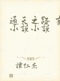 通天之路 有声小说小说