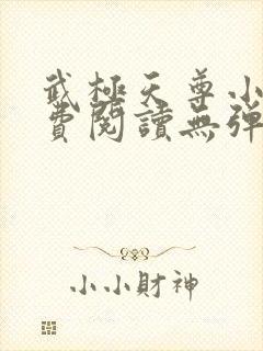 武极天尊小说免费阅读无弹窗