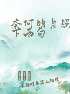 奈何明月照沟渠下两句