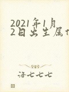 2021年1月2日出生属什么