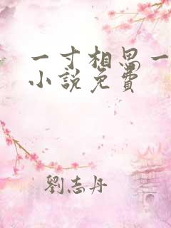 一寸相思一寸心小说免费