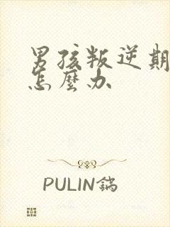 男孩叛逆期厌学怎么办