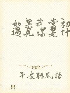 如果我当初没有遇见你是什么歌